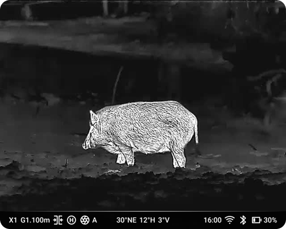 Excellent imaging quality demonstration